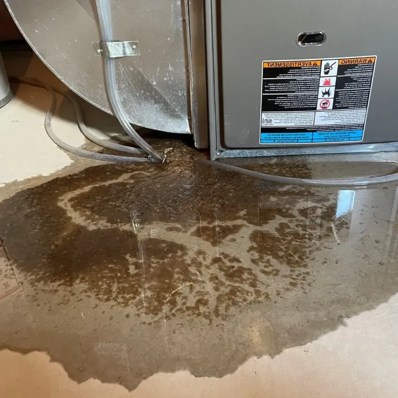 Pipe Burst and Leak Restoration in New York Mills, NY